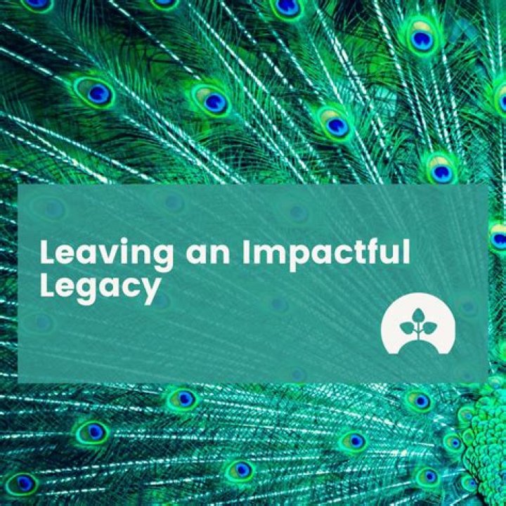 Unveiling The Impactful Legacy Of Cathy Domres: Insights And Discoveries