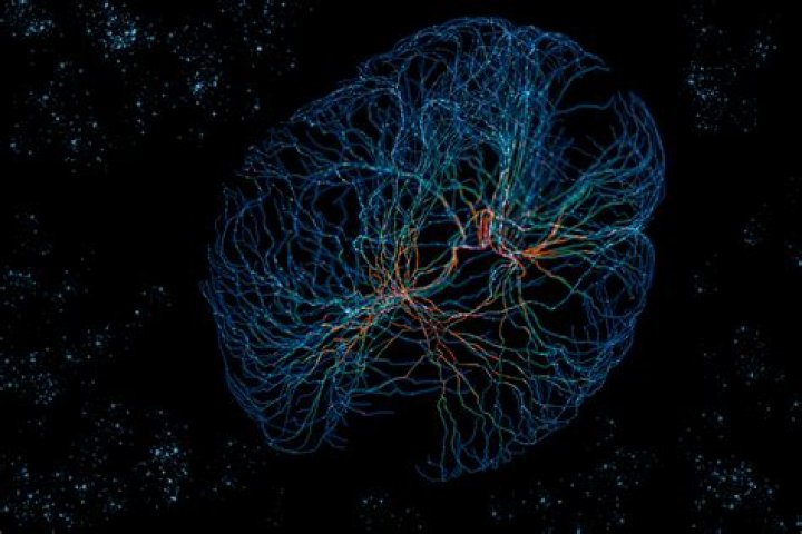 Unveiling The Intricate Web Of Tom Burke's Relationships: Insights For HDGalleryGenius1