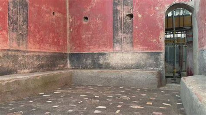 Unveiling The Layers Of "Bathhouse Barry": Discoveries And Insights