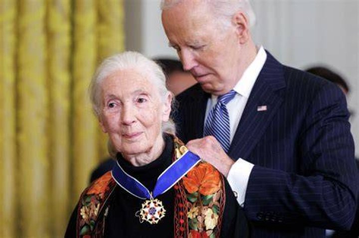 Unveiling The Life And Legacy Of Jane Levees