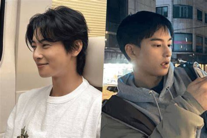 Unveiling The Life Of Cha Eun Woo's Sister: A Journey Of Love And Support