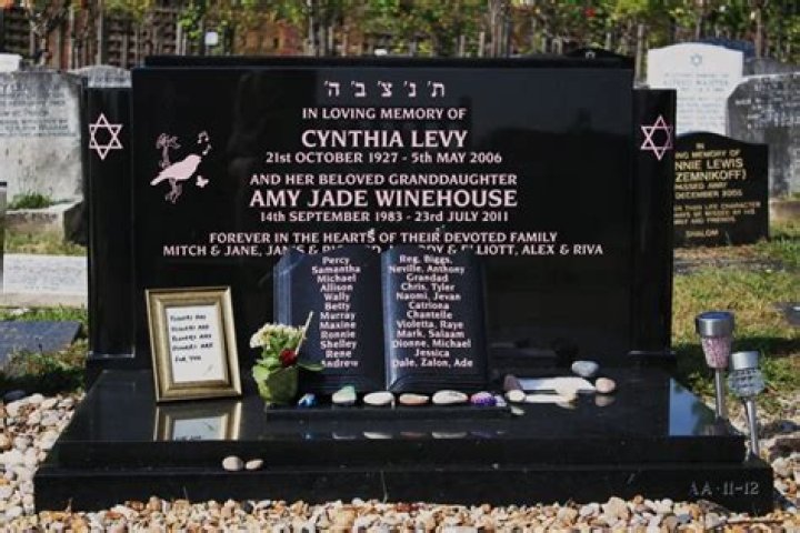 Unveiling The Life Of Cynthia Winehouse: A Journey Through Family And Legacy