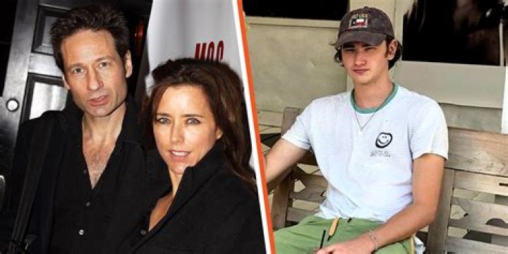 Unveiling The Mystery: Who Is David Duchovny's Son?