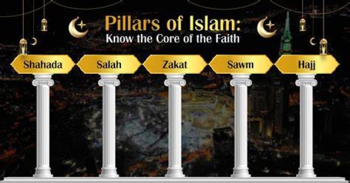 Unveiling The Pillars Of Her Rise