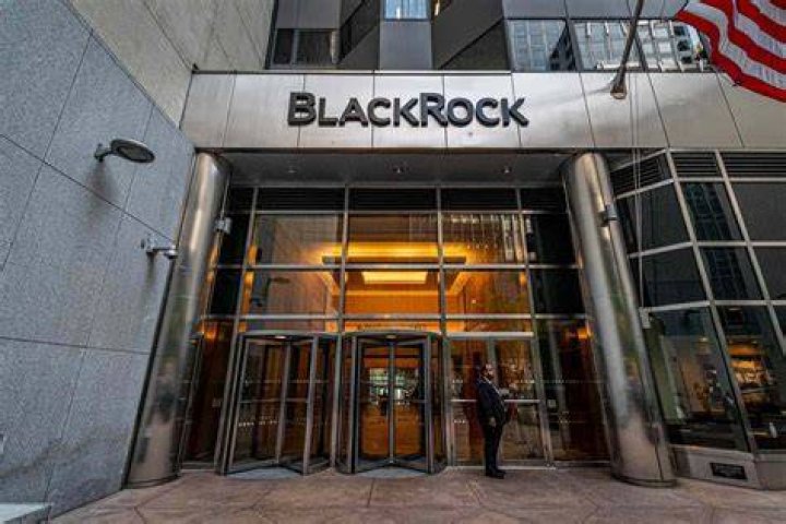 Unveiling The Powerhouse: The BlackRock Company