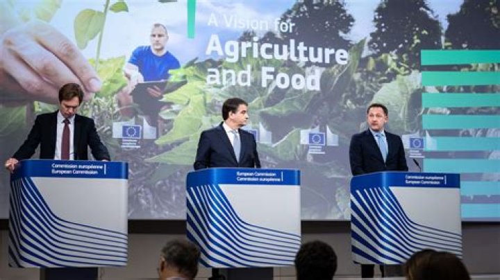 Unveiling The Profound Impact Of Farmers' Alliances On American Agriculture