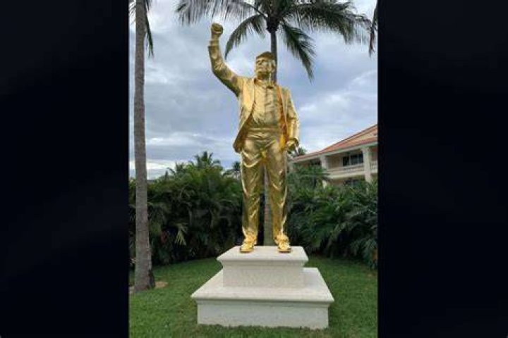 Unveiling The Secrets Behind Joey Bragg's Towering Stature