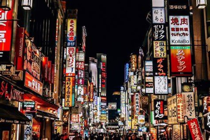 Unveiling The Secrets Of Ansel Elgort's Japanese Language Journey