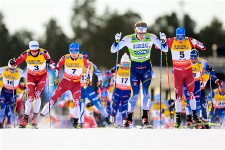 Unveiling The Secrets Of Cross-Country Skiing Champion Oona Seppl