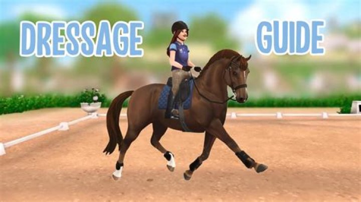 Unveiling The Secrets Of Dressage Mastery With Lucia Martin-Yosef