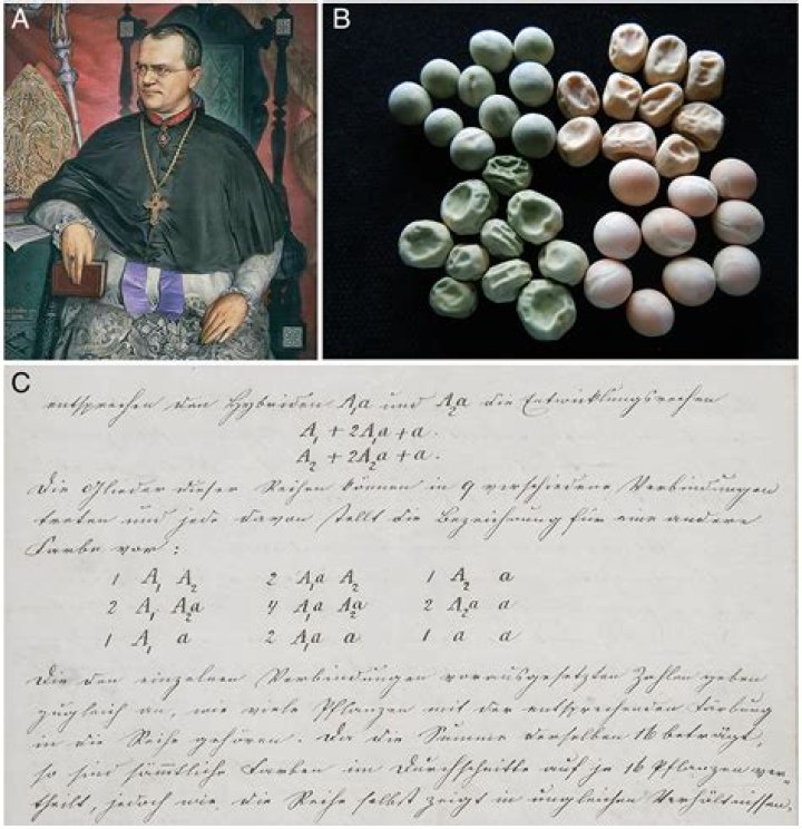 Unveiling The Secrets Of Simontok: Discoveries And Insights