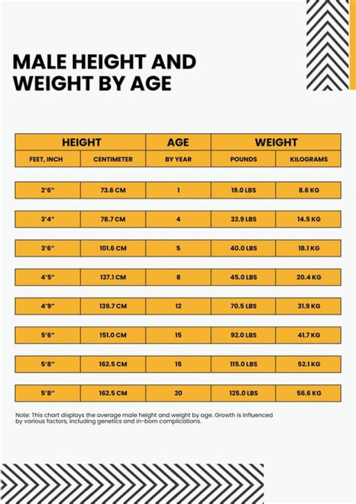 Unveiling The Secrets Of SZA's Height And Weight: A Comprehensive Insight