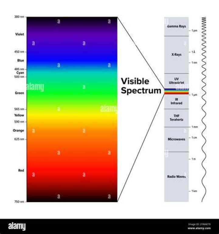 Unveiling The Spectrum Of His Cinematic Journey