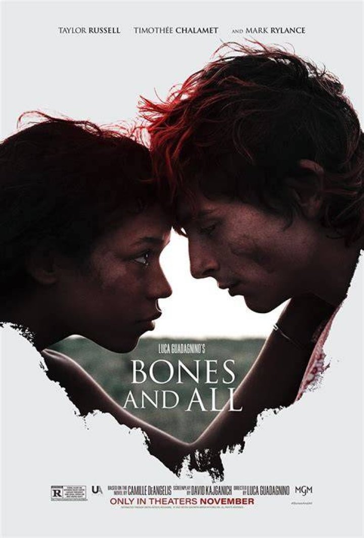 Unveiling The Style And Significance Of Maren's Outfits In "Bones And All"