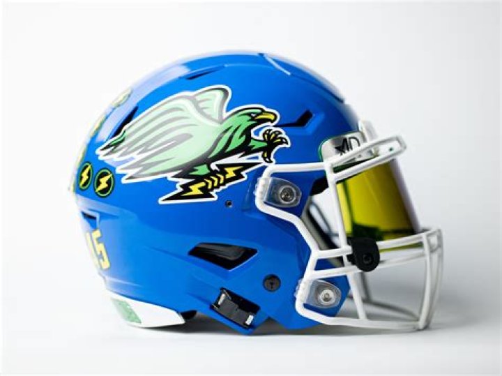 Unveiling The Symbolism And Legacy Of The Delaware Football Helmet With A Michigan Decal