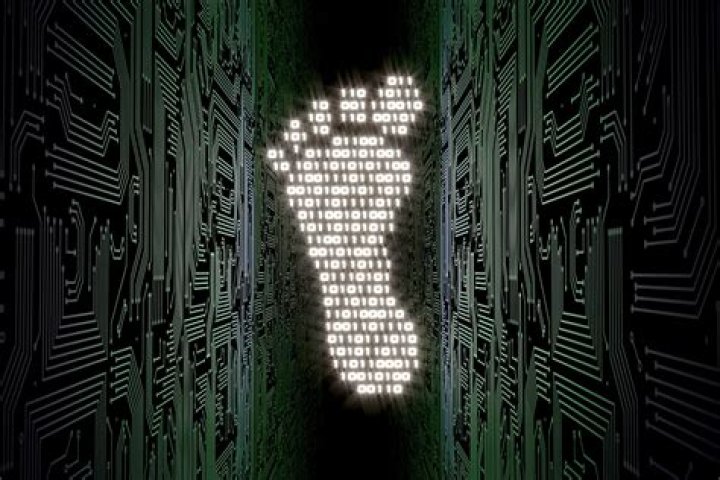 Unveiling The Tech Titan: Nathaniel Rakich's Digital Footprint