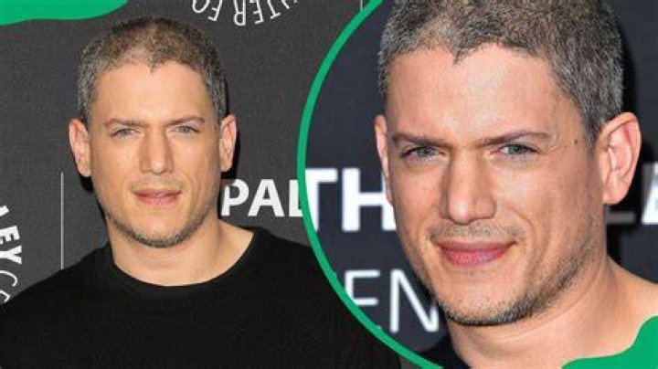 Unveiling The Truth About Wentworth Miller's Boyfriend