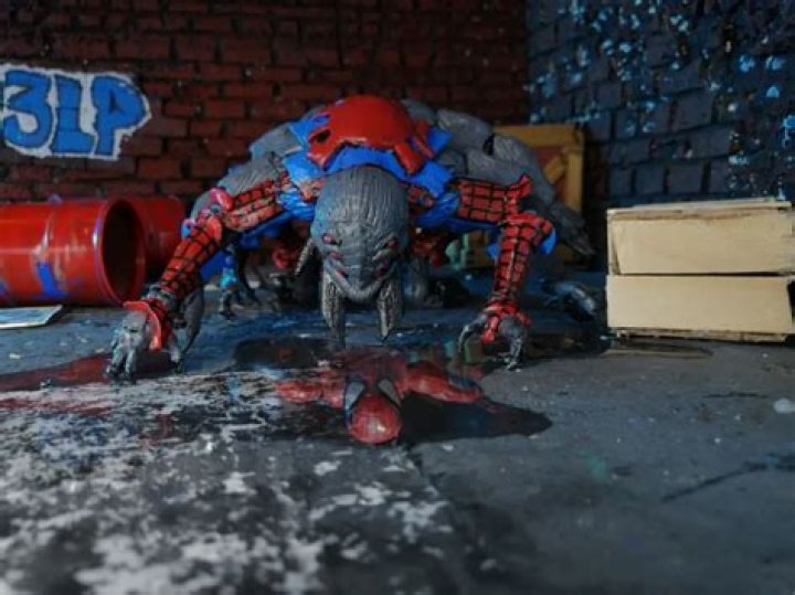 Unveiling The Wonders Of Spidervid.com: Your Ultimate Streaming Hub