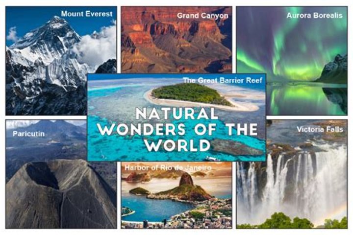 Unveiling The Wonders Of Vail Bloom: Discoveries And Insights