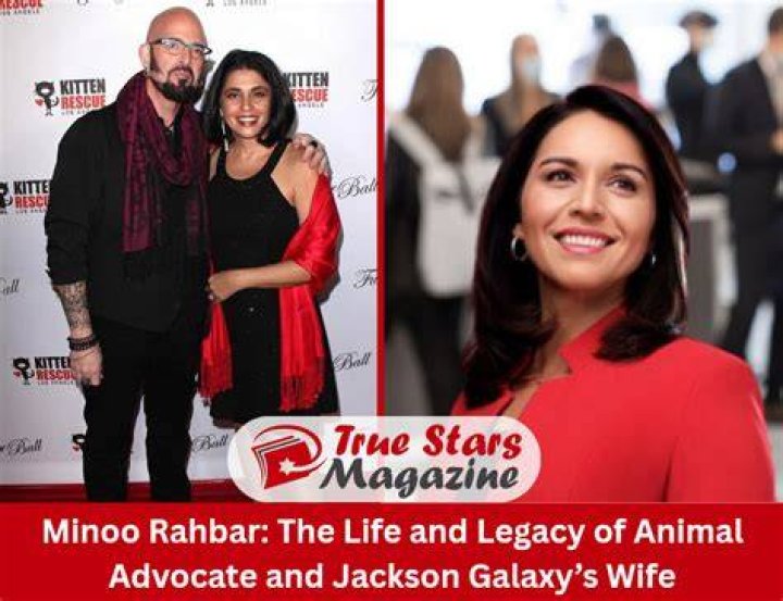 Unveiling The World Of Minoo Rahbar: Discoveries And Insights