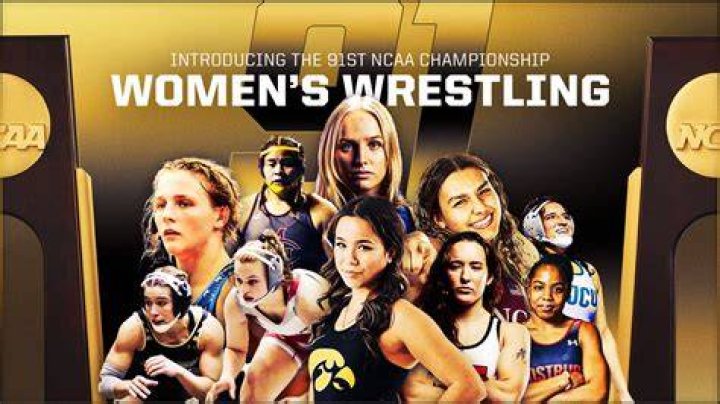 Unveiling The World Of Wrestling Sable: Discoveries And Insights