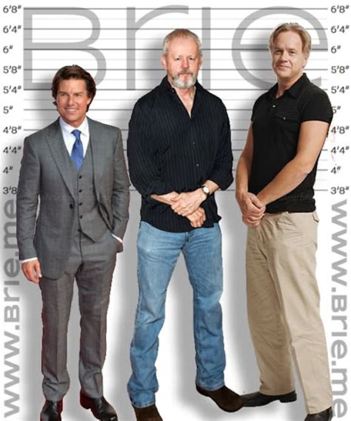 Unveiling Tim Robbins: His Height In Feet And More