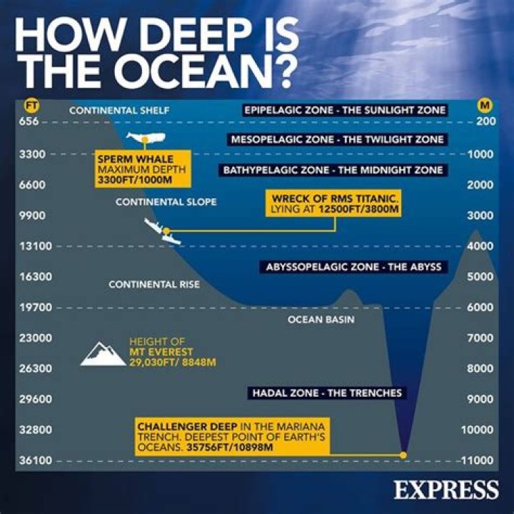 Unveiling Truths, Exploring Depths, Inspiring Change
