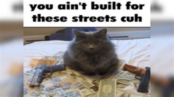 Unveiling "U Ain't Built For These Streets Cuh": Essential Insights Revealed