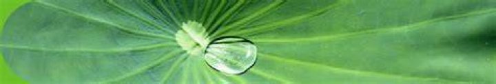 Virtual Home Gateway - GreenTouch