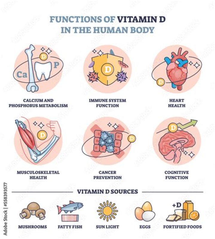 Vitamin D & Immune System: The Science Explained | Health