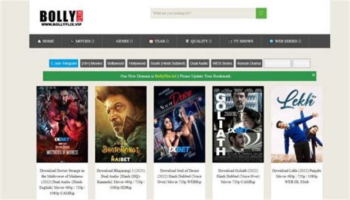 Watch Bollywood Movies Online: BollyFlix Ninja