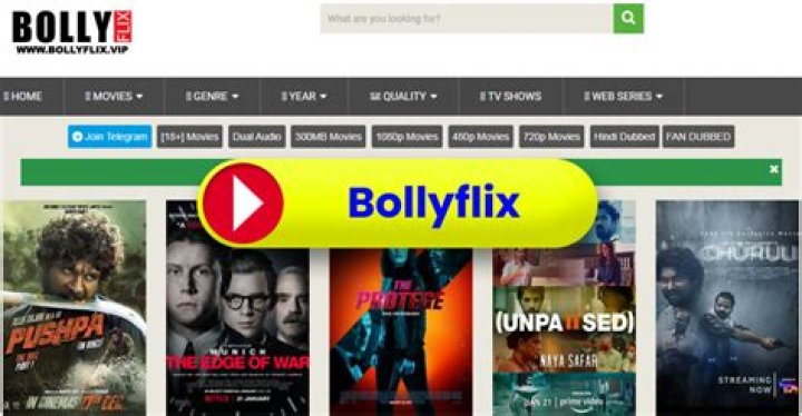 Watch Bollywood Movies Online | Bollyflix Streaming Guide