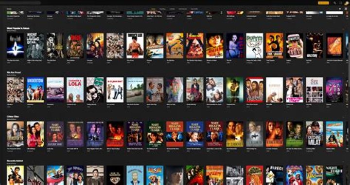 Watch & Download Movies: A Complete Guide
