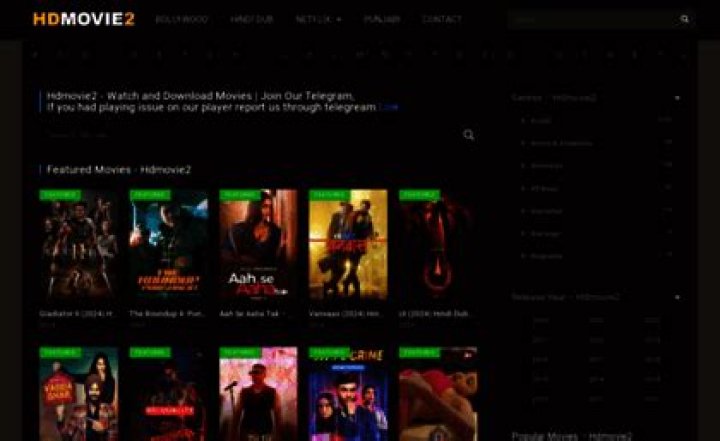 Watch Free Movies Online: Hdmovie2 & More!