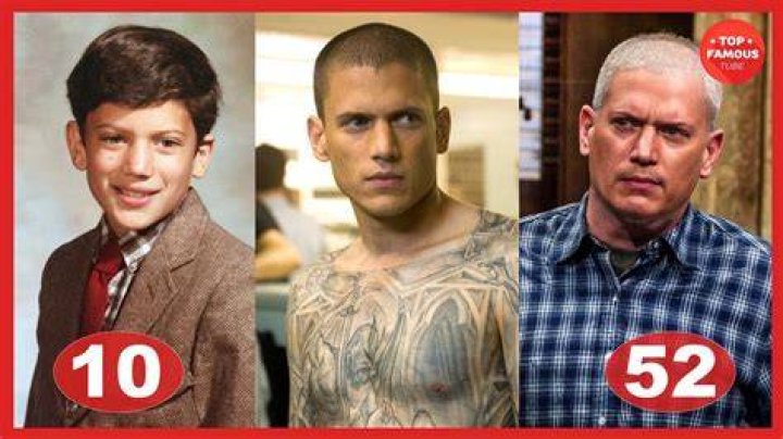 Wentworth Miller: Height, Age & Facts You Didn't Know!