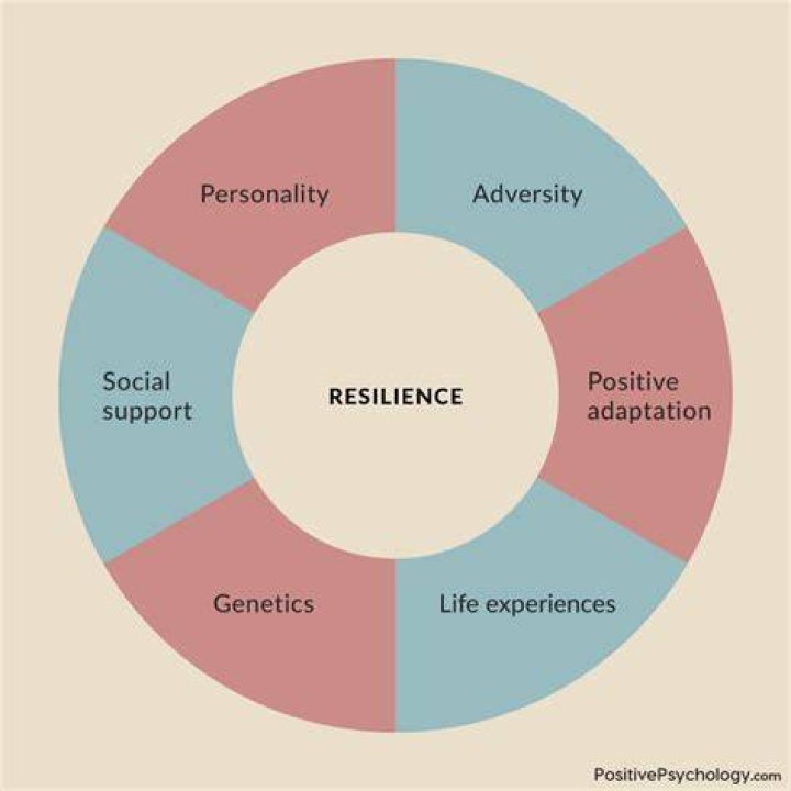 Yasmine Bleeth: A Journey Through Stardom And Personal Resilience
