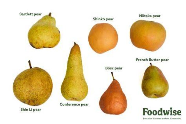 Your Comprehensive Guide To Acquiring Pears In Animal Crossing